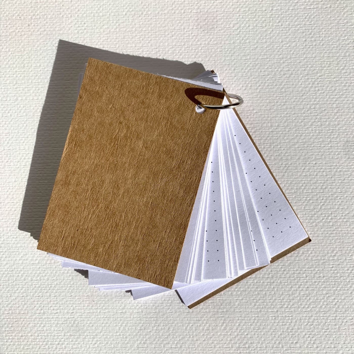 Flash Guard set with a kraft cover fanned open
